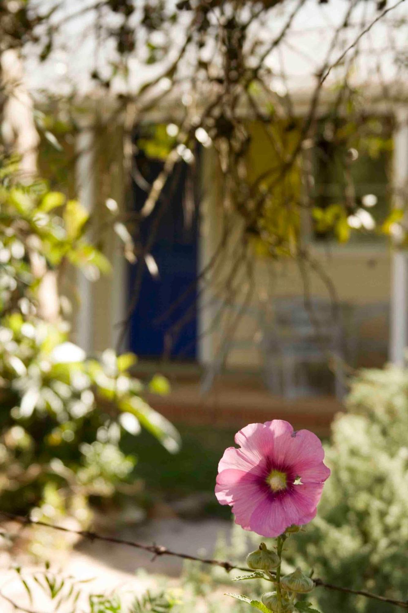 אובורן Amy'S House Bed & Breakfast מראה חיצוני תמונה
