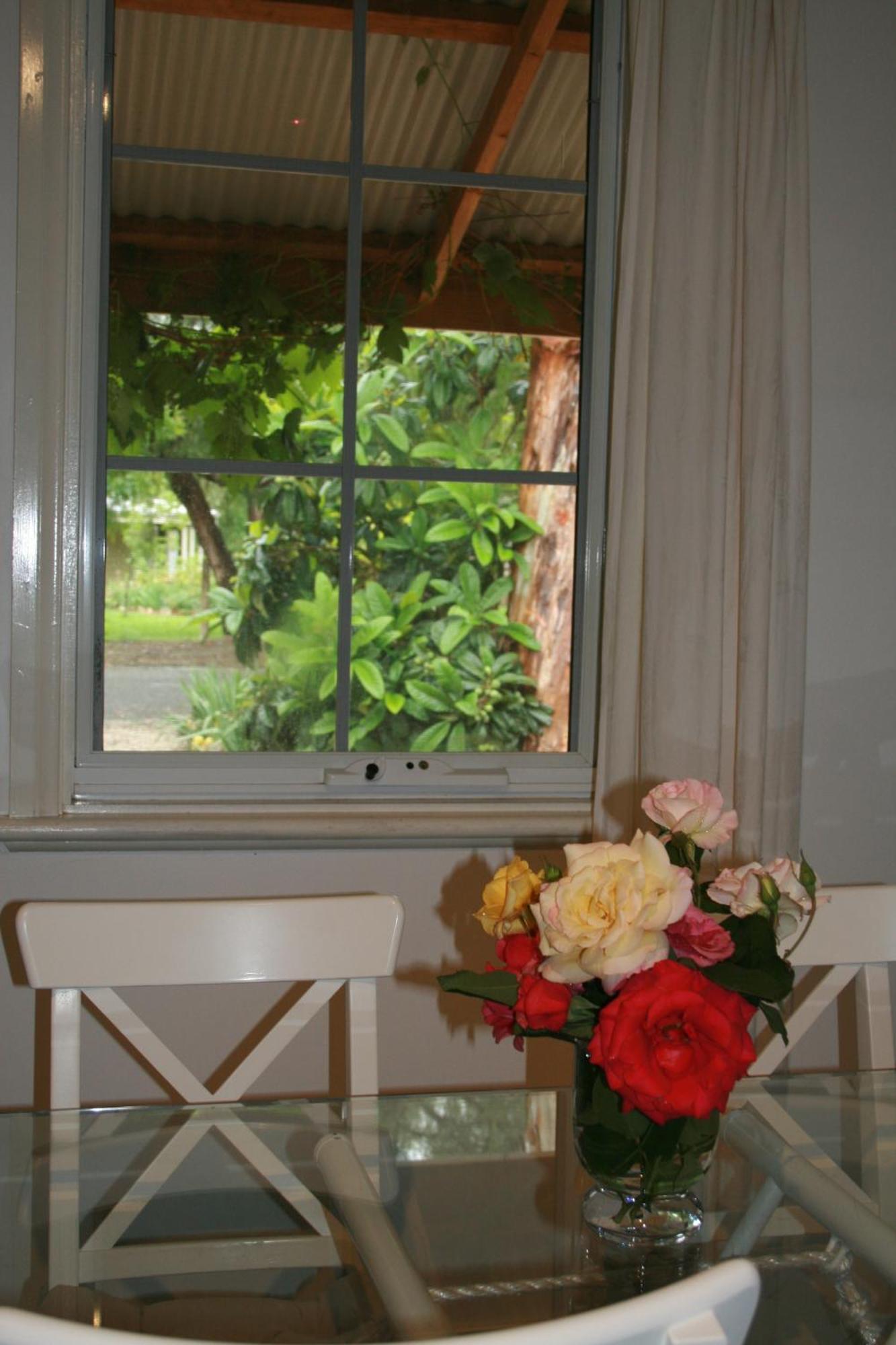 אובורן Amy'S House Bed & Breakfast מראה חיצוני תמונה