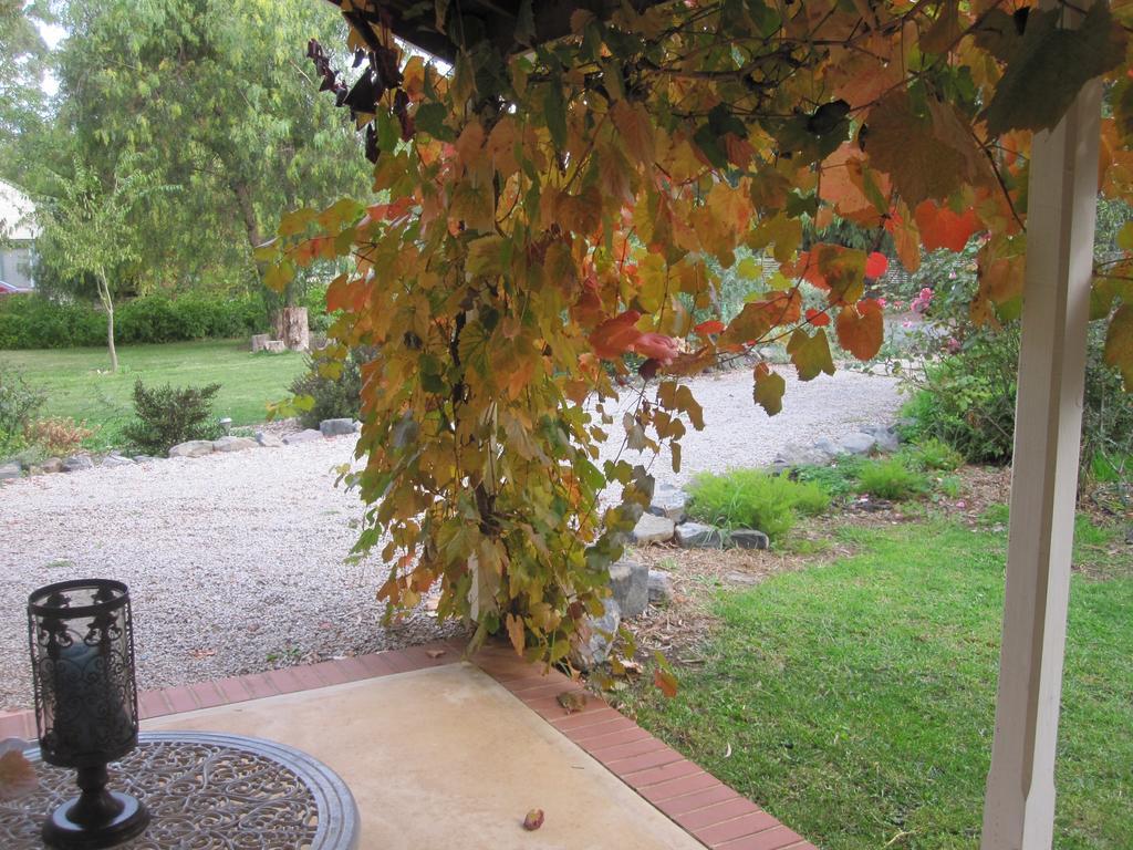 אובורן Amy'S House Bed & Breakfast מראה חיצוני תמונה