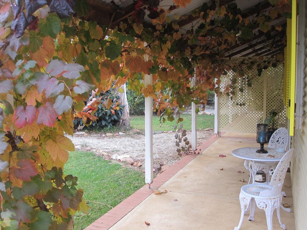 אובורן Amy'S House Bed & Breakfast מראה חיצוני תמונה