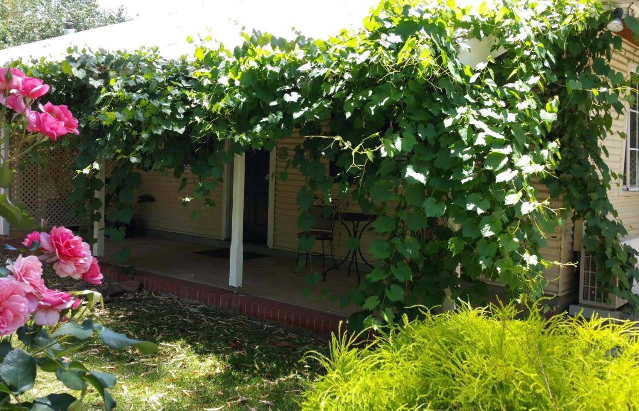 אובורן Amy'S House Bed & Breakfast מראה חיצוני תמונה